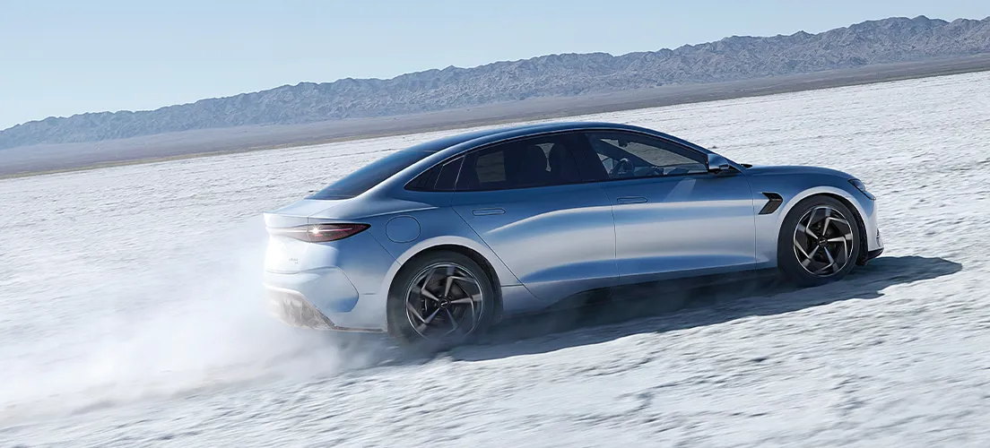 Išskirtinis našumas